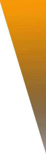 InterActive Support, jasa servis